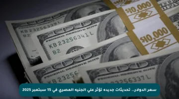 سعر الدولار.. تحديثات جديدة تؤثر على الجنيه المصري في 15 سبتمبر 2025